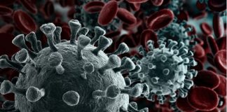 ANZ launches major COVID-19 support package