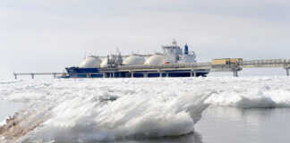 Japan COs Take Multibillion-Dollar Hit On Russian Gas Assets