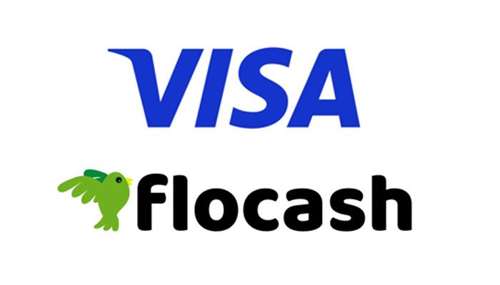 Visa to partner with African payments outfit Flocash